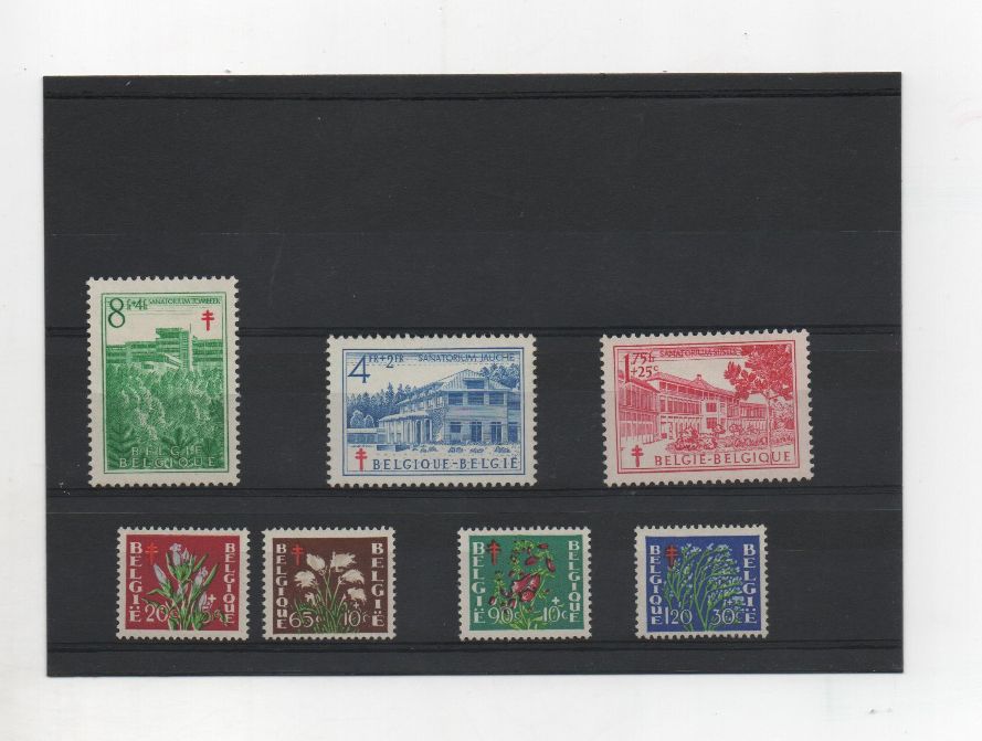 COLECCIÓN DE SELLOS DE BELGICA DEL AÑO 1950 SERIE Nº 834/840 